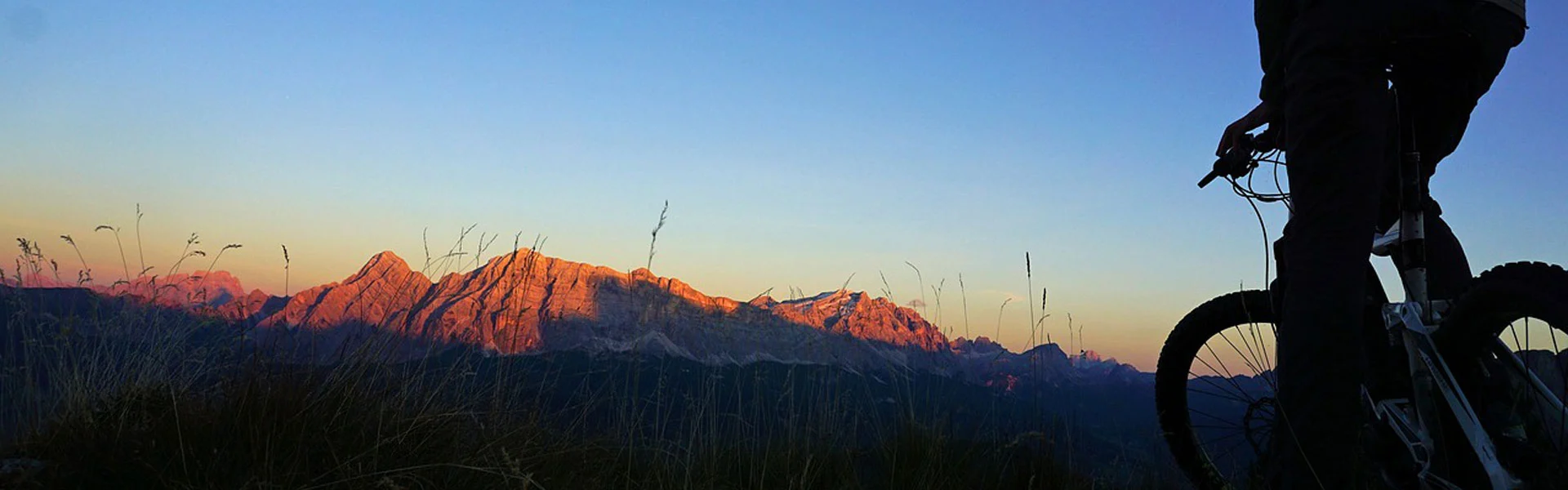 Exhibitions & Events