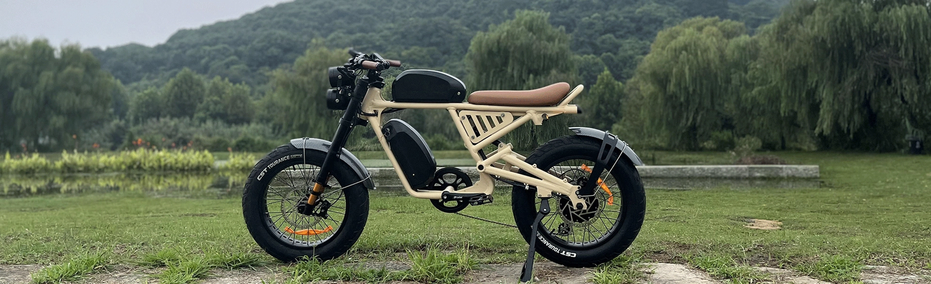 Snow Electric Moped Style E Bike