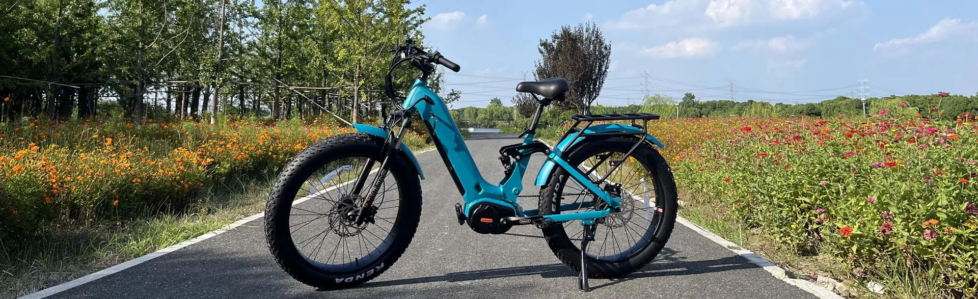 Mid Drive Fat Tire Ebike