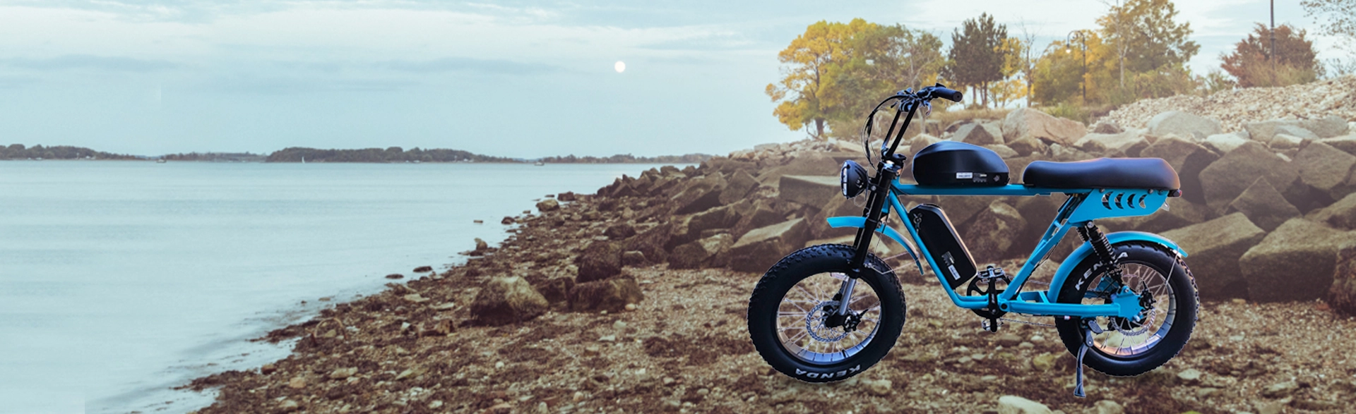 20 Inch Dual Battery Fat Tire Electric Bicycle