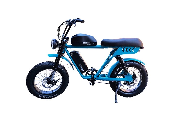 Dual Battery Fat Tire Electric Bike