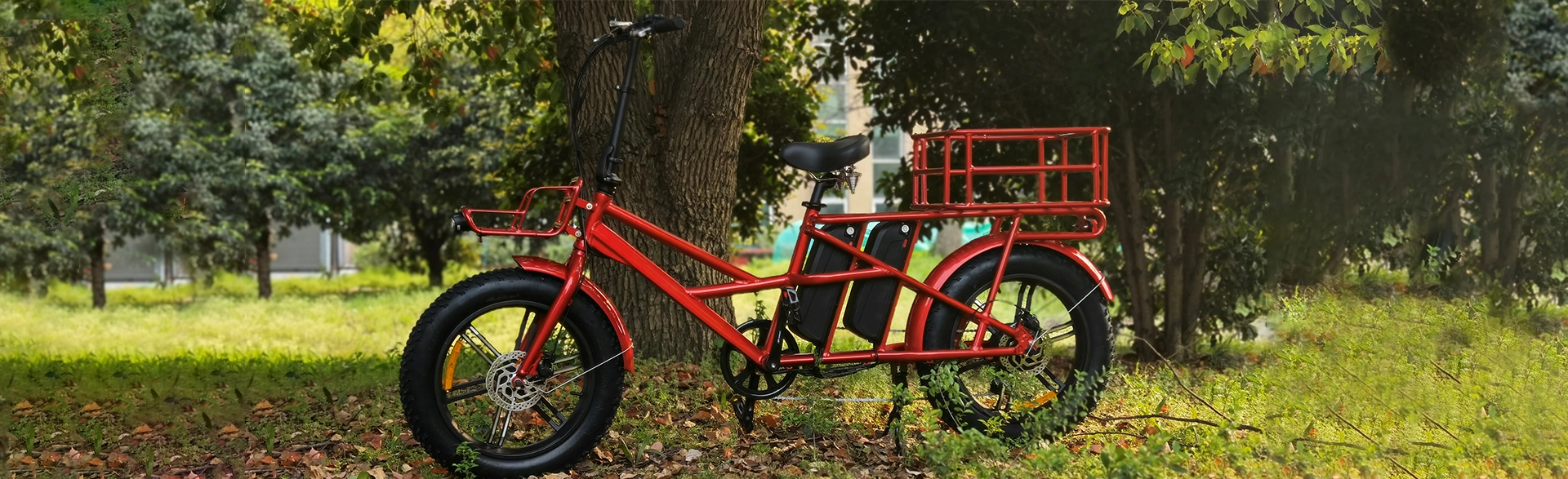 Dual Battery Electric Bike