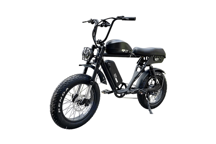 20 Inch Dual Battery Fat Tire Electric Bicycle