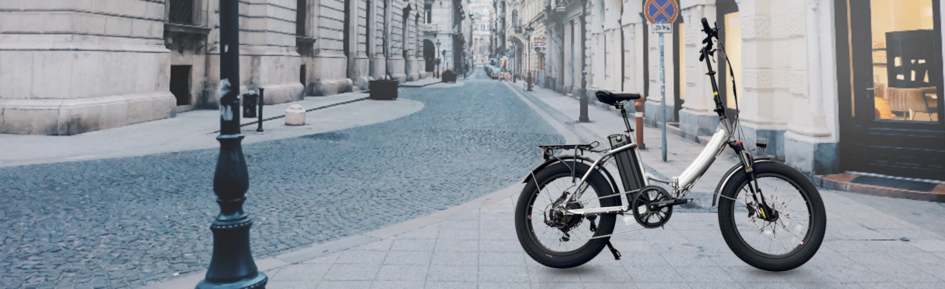 Folding Electric Bike