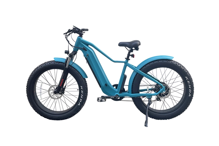 Fat Tire Electric Mountain Bike