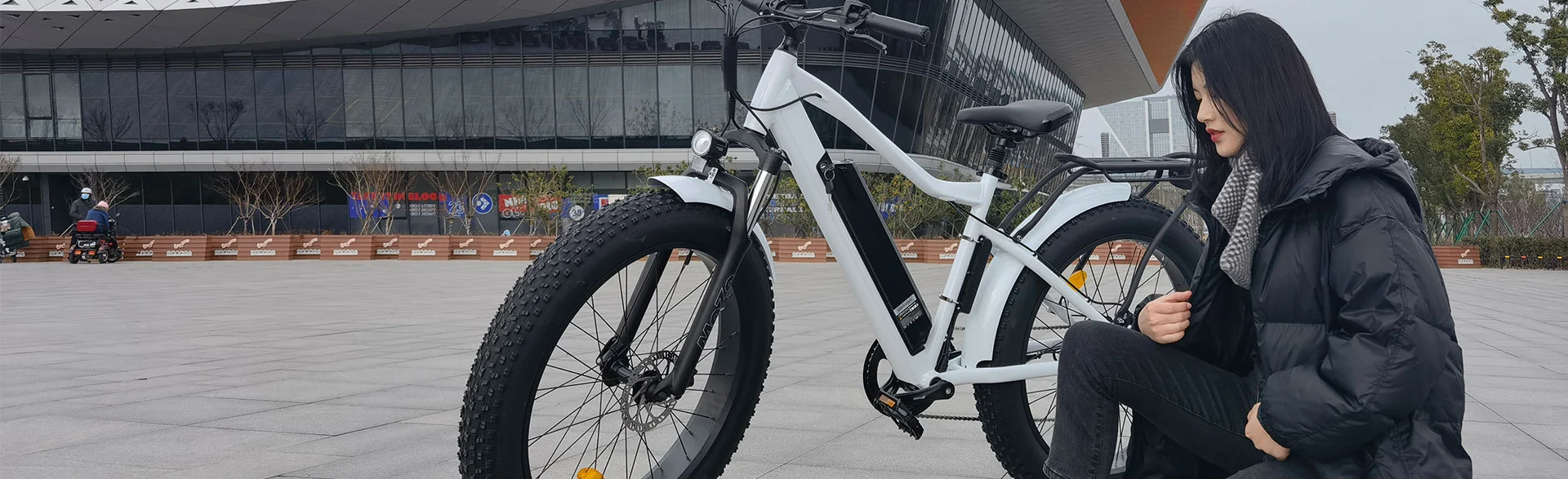 26 Inch Fat Tire Electric Bike