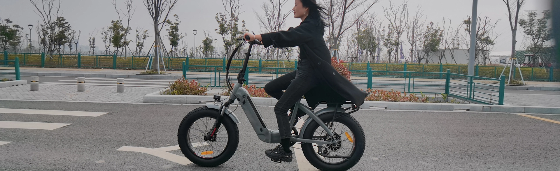 20-Inch Fat Tire Folding Electric Bike