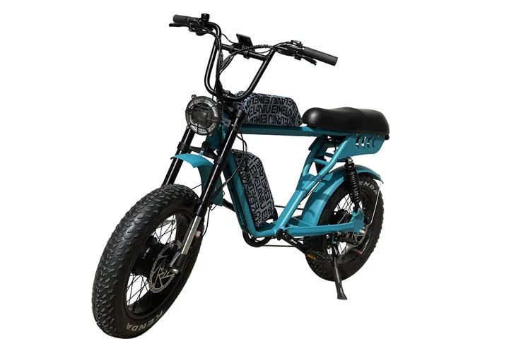 Dual Battery Electric Bike 52V with Dual Motors