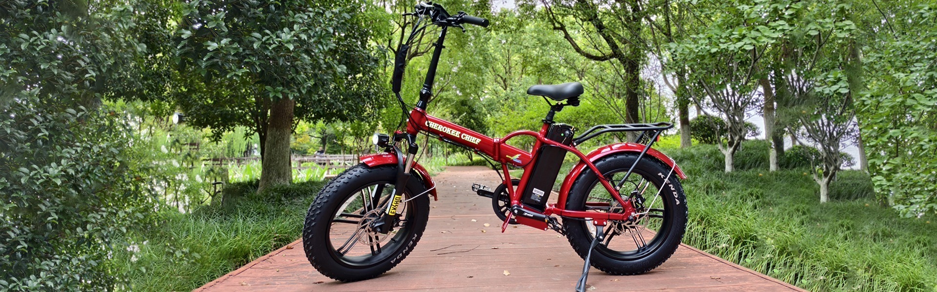 Folding Electric Bike with Fat Tires - Foldable Design