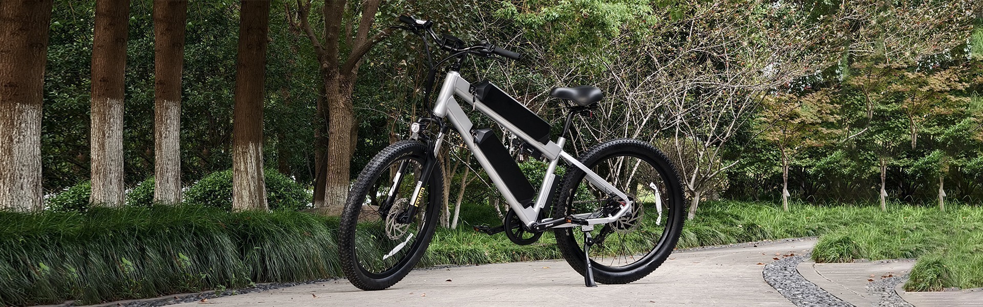 Dual Battery Electric Mountain Ebike