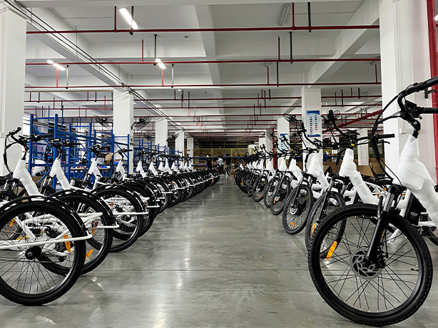 Gallery-Custom Electric Bike (4).jpg