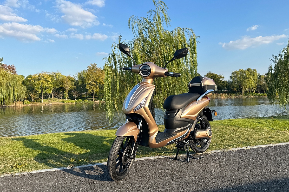 electric scooter-1.png