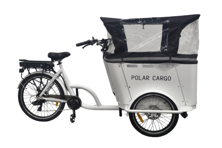 Cargo electric tricycle