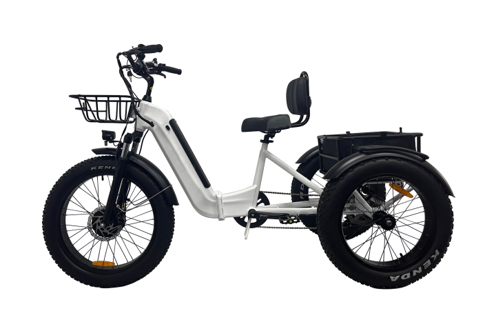 Three wheel fat tire Cargo electric bicycle