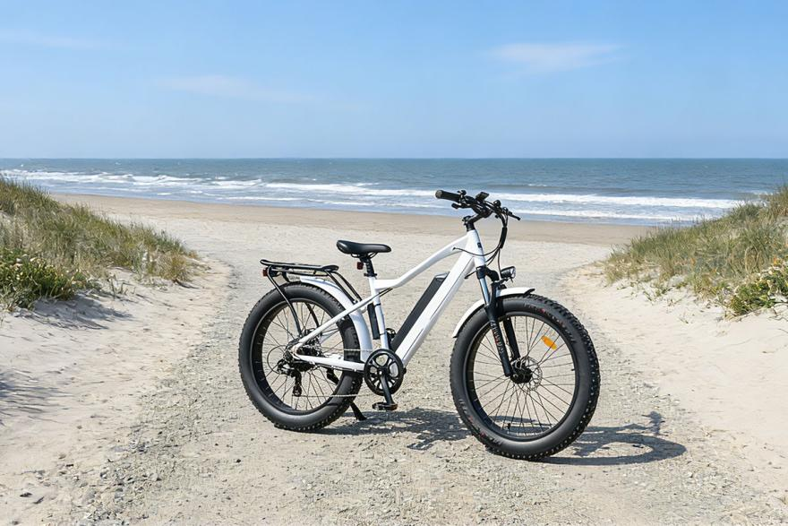 Travel the whole city with our e-bike.png