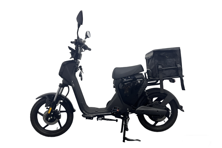 Pedal assisted Electric Scooter