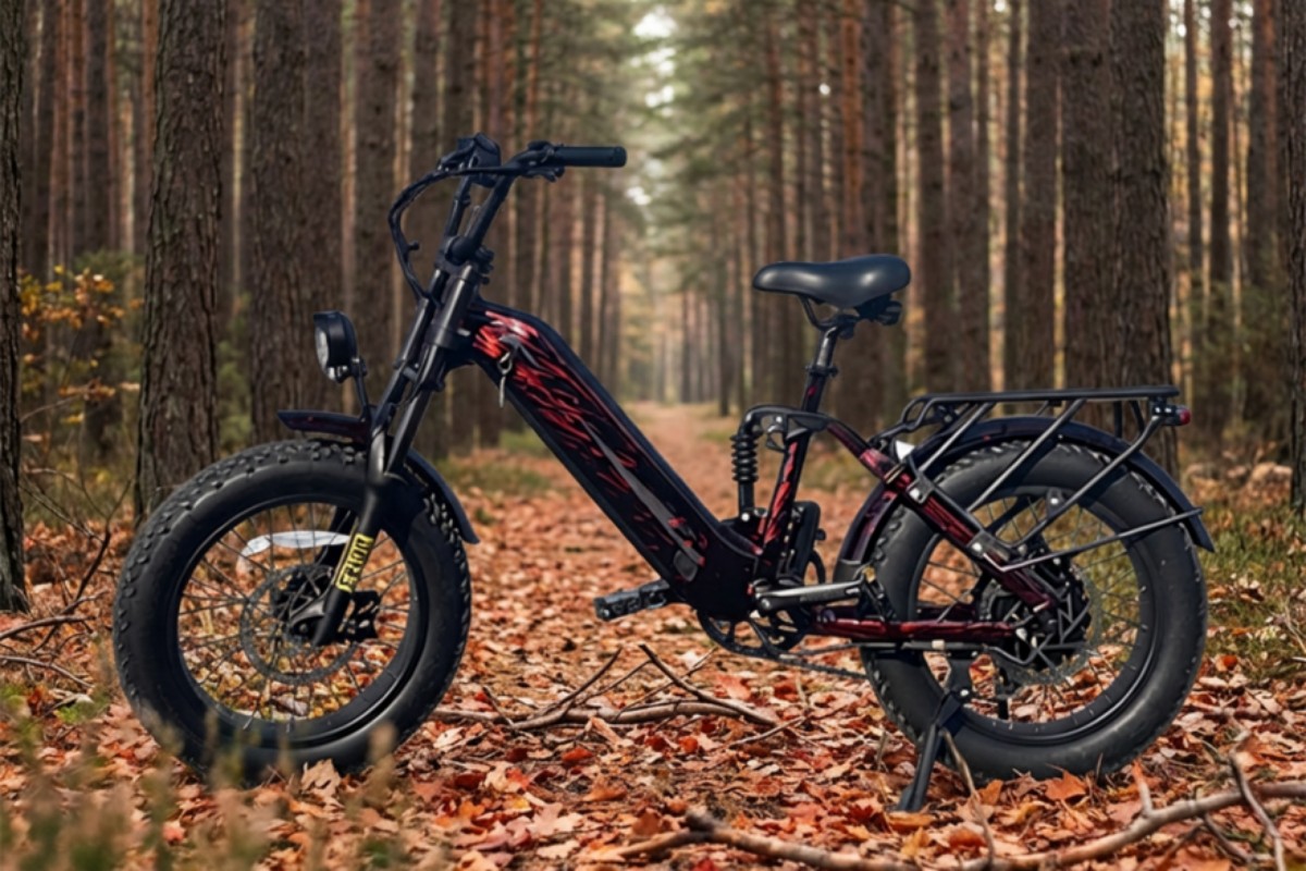 ebike.jpg