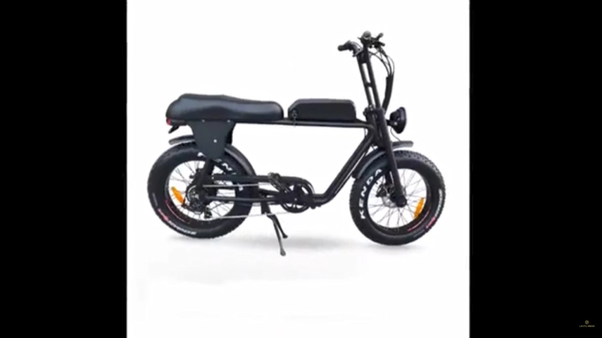 2021 Hot Selling Electric Fat Bike