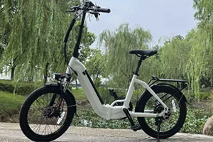 Advantages of Folding Electric Bicycle