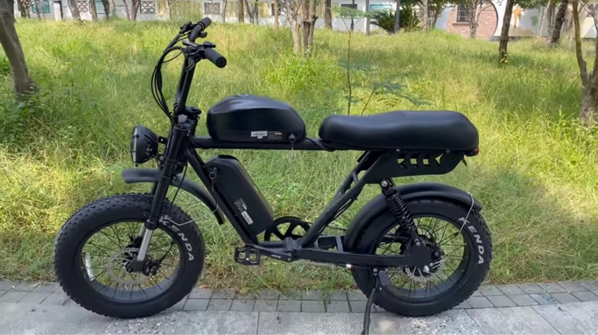 Best Retro Style Fat Tire Electric Bike