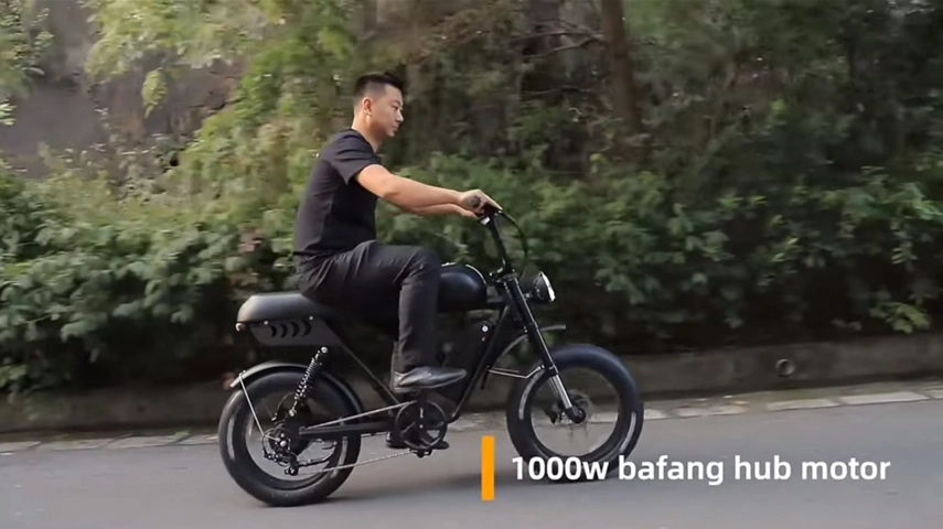 China Best Full Suspension Moped Style Fat Tire Electric Bike Review