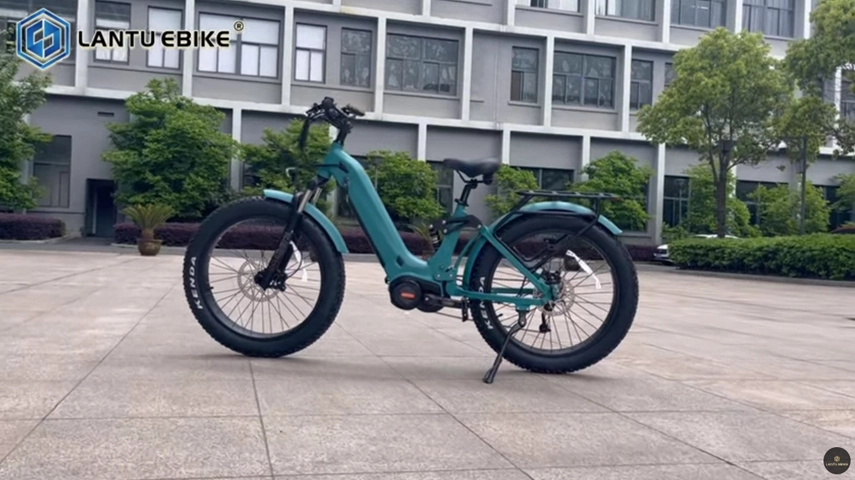 China OEM Electric Bike with 1000w Mid Drive Motor