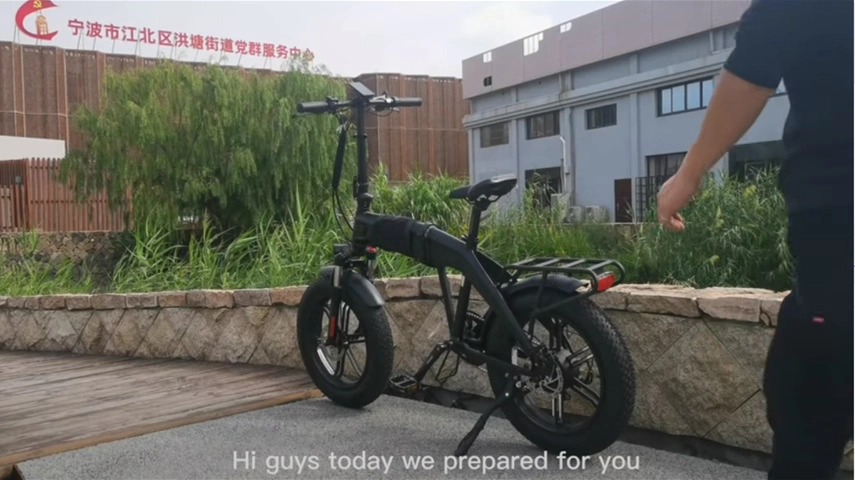 E Bike Factory China