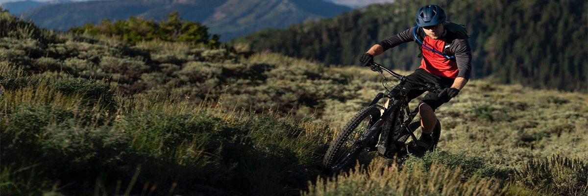 electric-mountain-bike.jpg electric-mountain-bike.jpg
