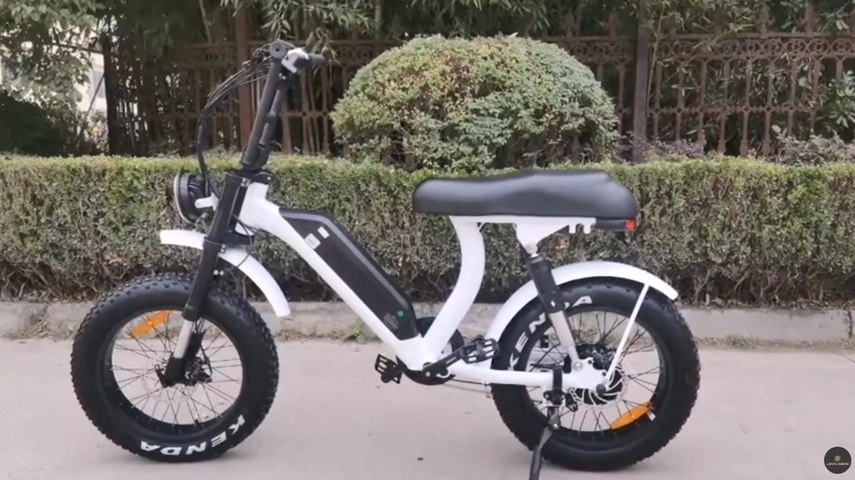 Fat Tire Step Thru Electric Bicycle