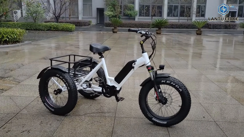 Mid Drive Electric Trike with Internal 3 Speed