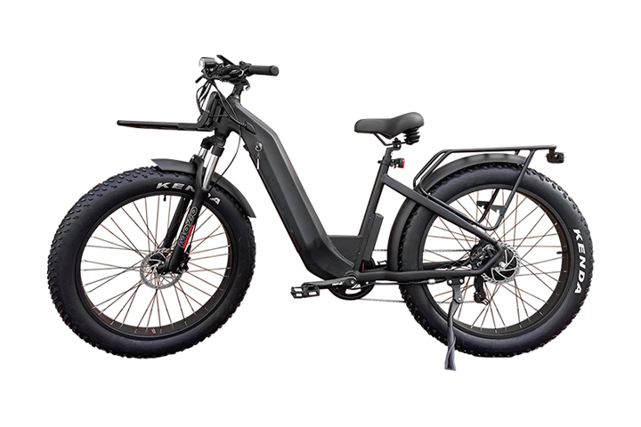 Bicicleta de montanha elétrica 750w