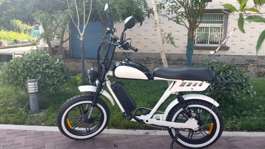 48V 1000W Bafang Motor de suspensão completa bicicleta elétrica de gordura com sensor de torque fabricante na China