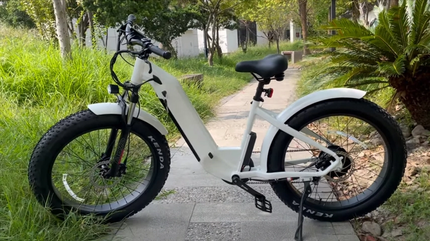 China melhor passo através de bicicleta elétrica de gordura para senhoras