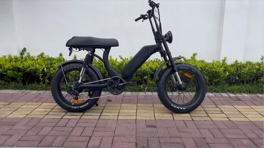 China fábrica 750W passo a passo bicicleta de gordura elétrica para mulheres