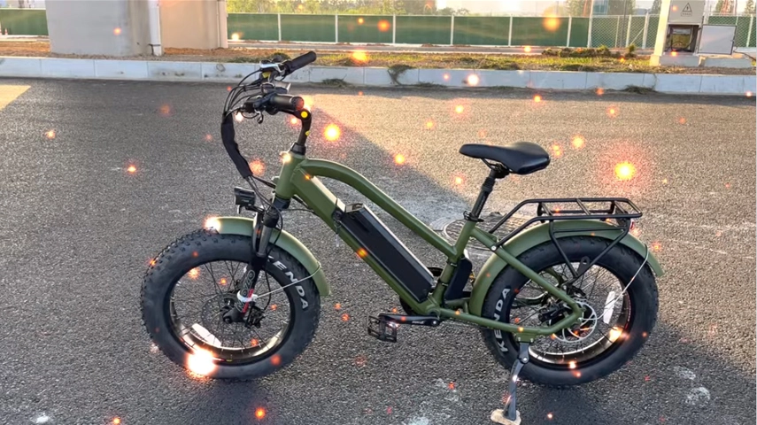 China fábrica OEM 20 polegadas 750W pneu gordo passo a passo bicicleta elétrica para senhora