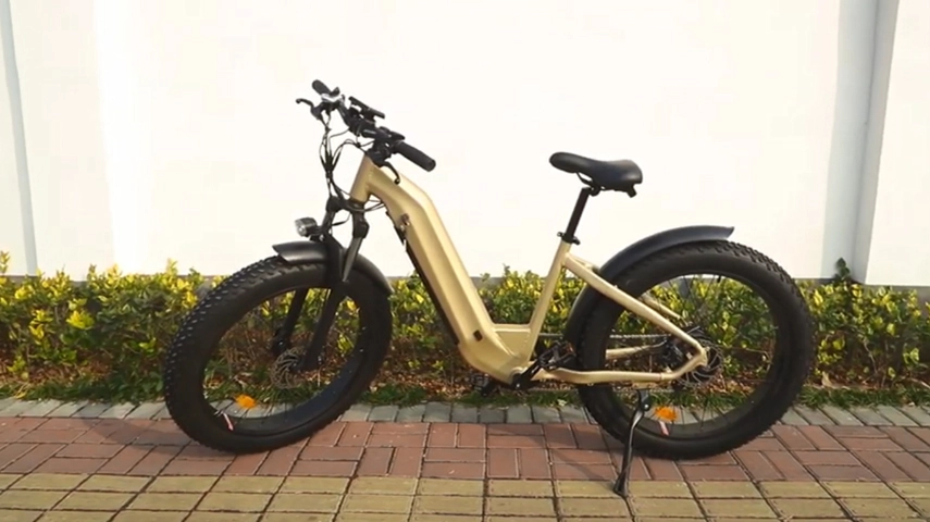 China fabricante de bicicleta elétrica de montanha de pneu de gordura