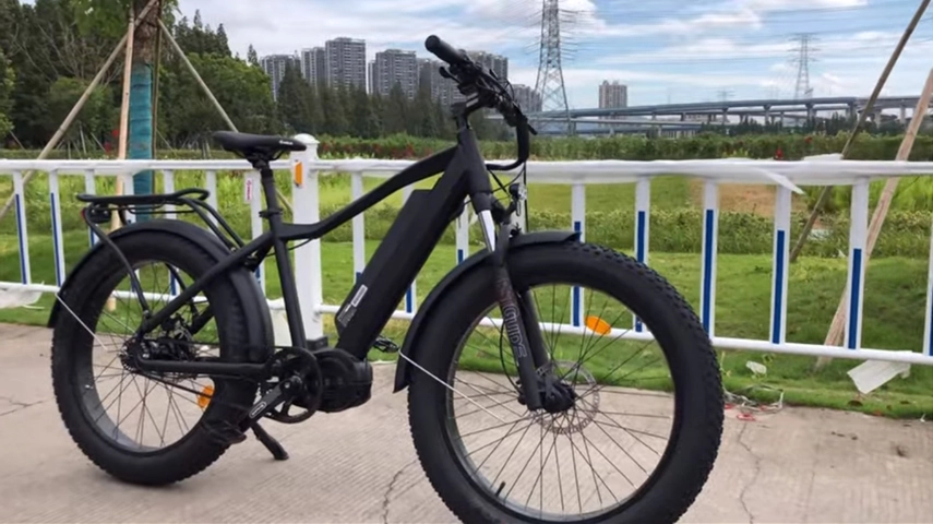 Grande potência 1000W pneu gordo Ebike com motor central