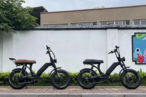 O que é a bateria removível Ebike?