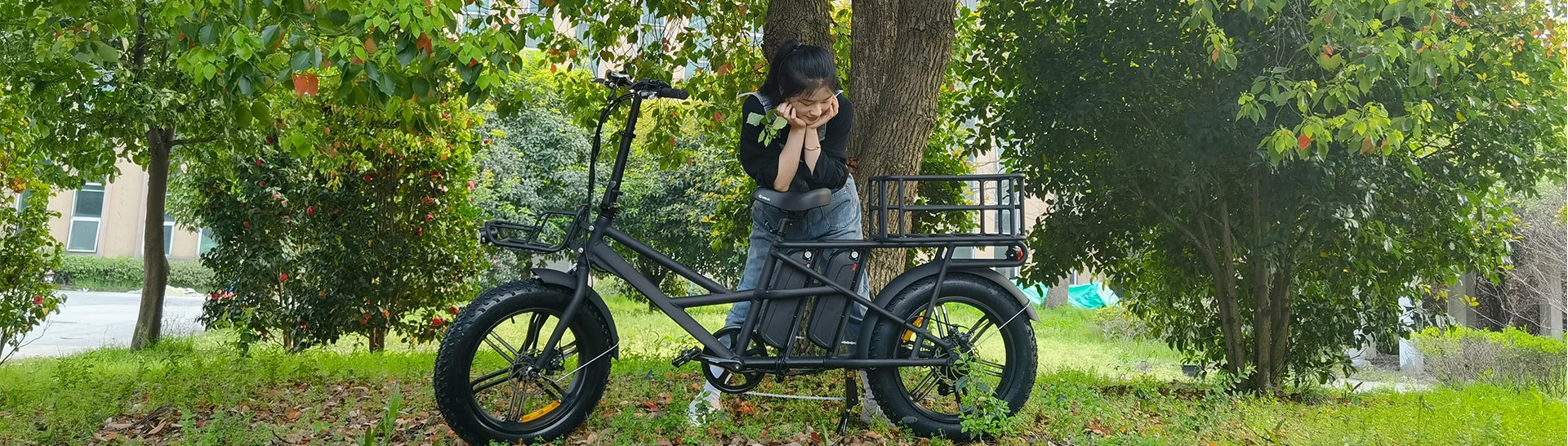 Bicicleta de carga elétrica,