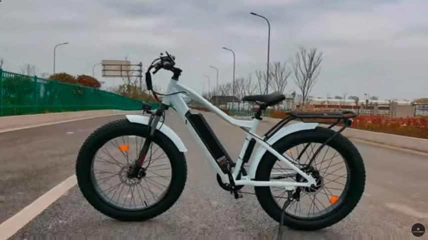 Pneu de gordura personalizado Ebike