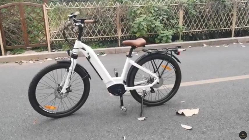 Ebike de passageiros