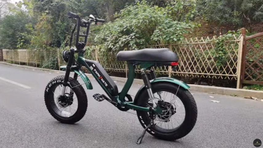 Bicicleta elétrica de pneus de gordura de motores duplos