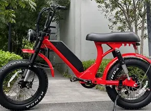 Como as E-Bikes de pneus de gordura podem ser uma ferramenta eficaz para exercícios de primavera e alívio do estresse