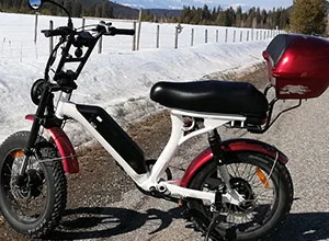 Como funcionam os Ebikes de motor duplo?