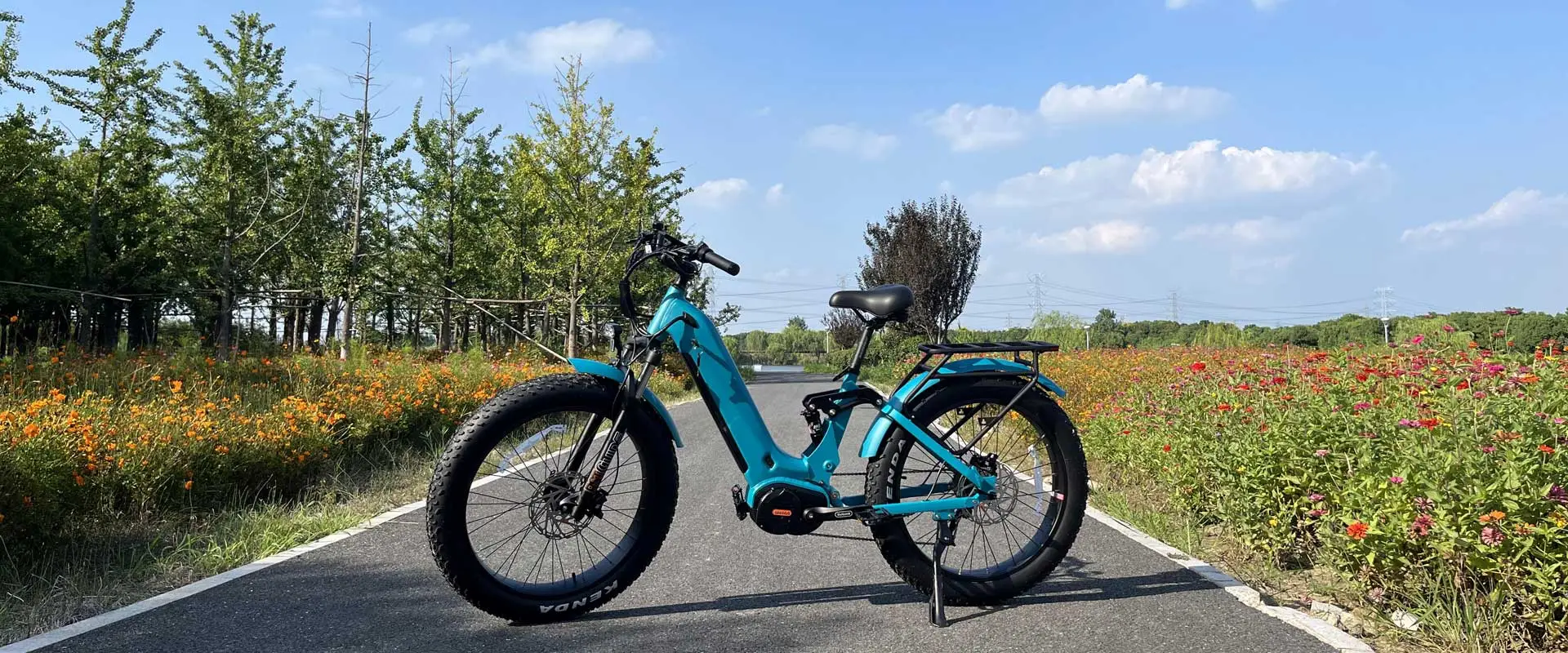 Passo Mid Drive através de Ebike